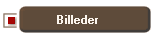 Billeder